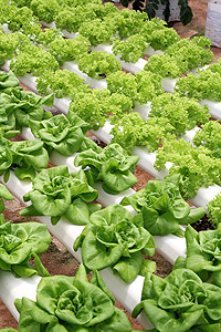 Seeking authentic solutions on your own path