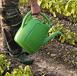 Seeking authentic solutions on your own path