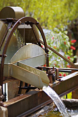 Liz Winslow Fruits - Health Awareness Coach