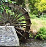 Liz Winslow Fruits - Health Awareness Coach